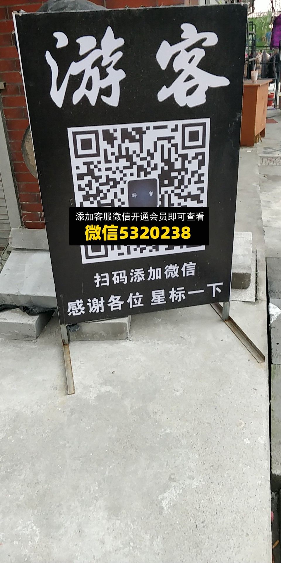 游客 游客