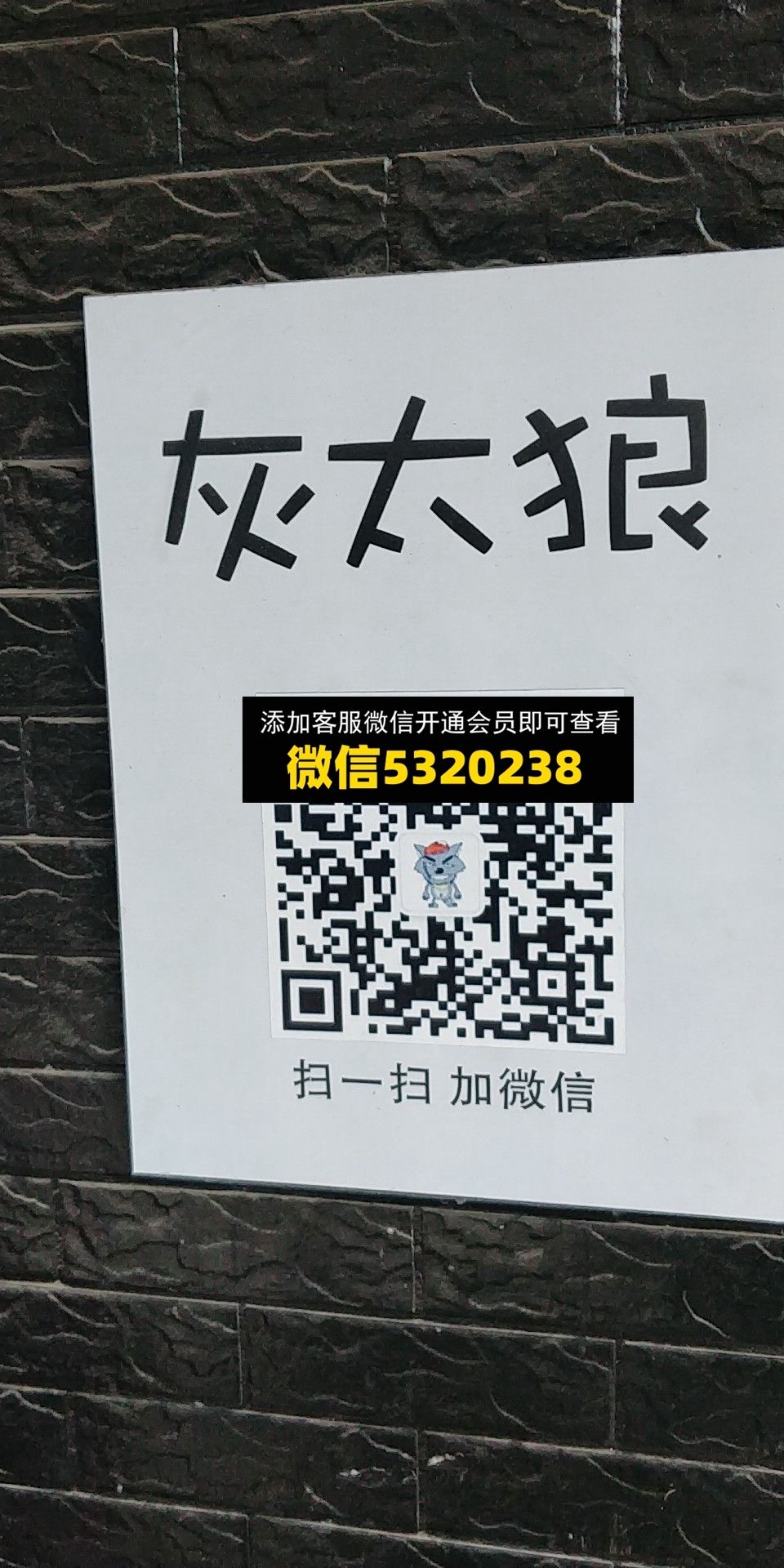 灰太狼 灰太狼