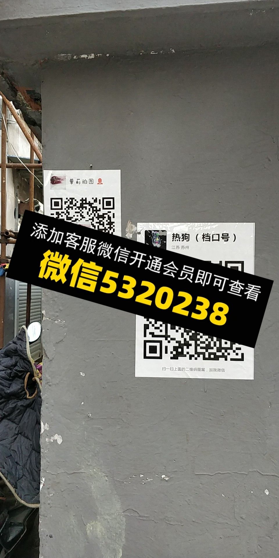 热狗 萝莉 热狗 萝莉