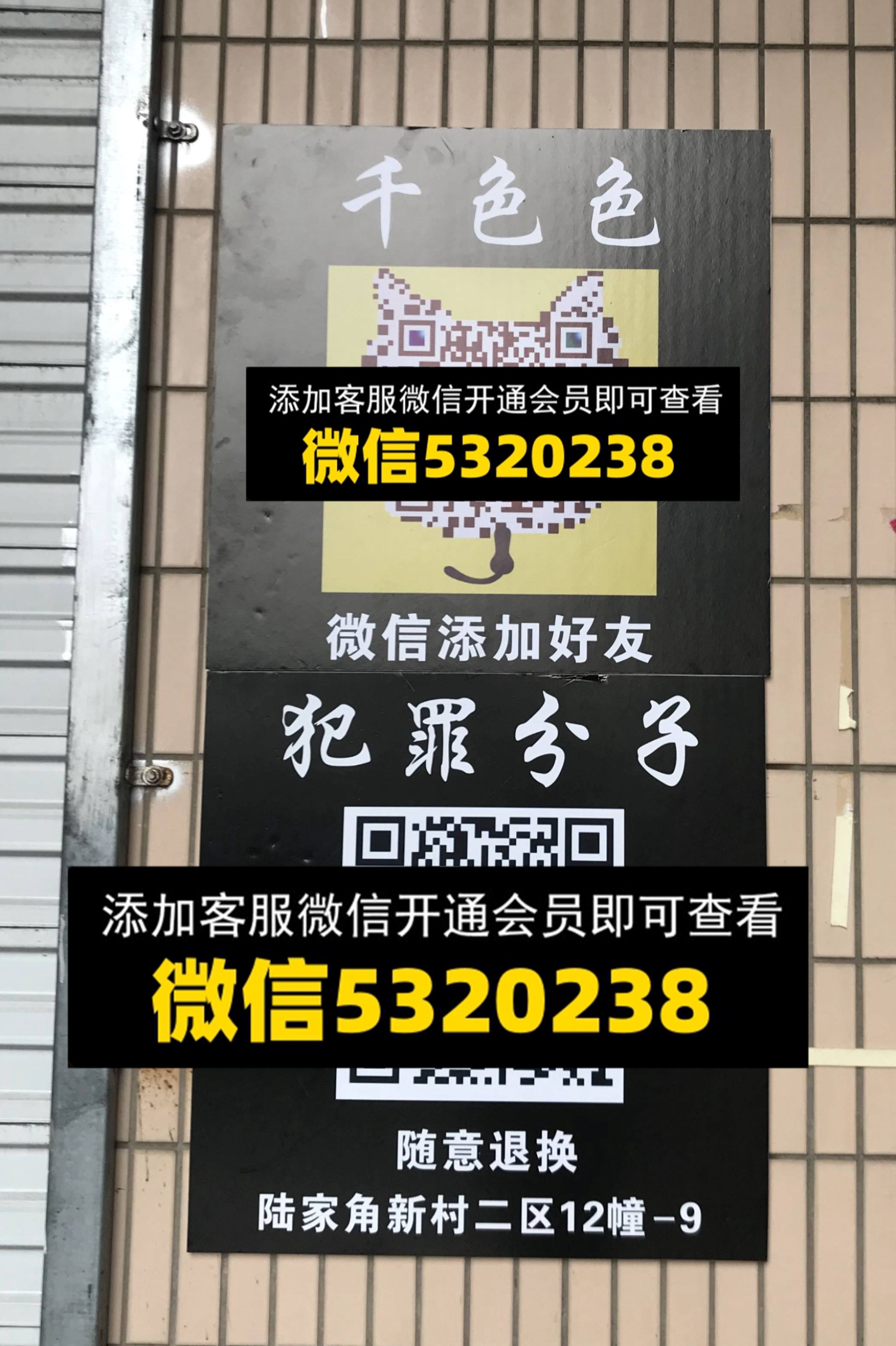 犯罪分子 犯罪分子