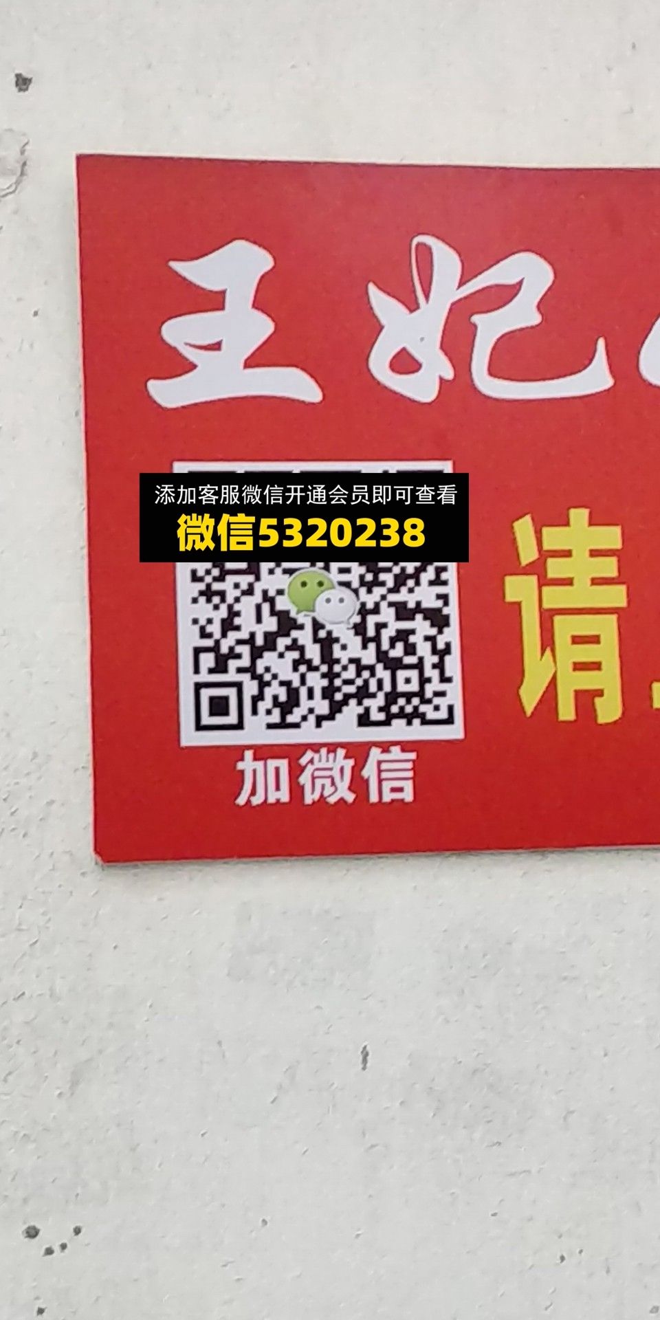 王妃 王妃