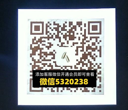 瓜子 瓜子
