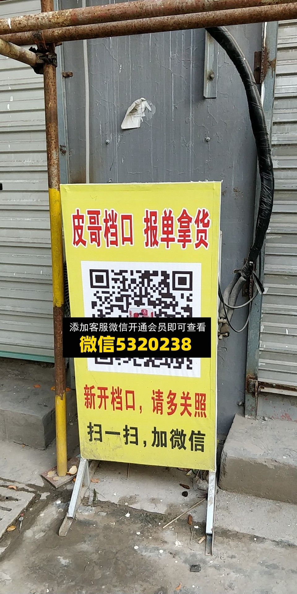 皮哥 皮哥
