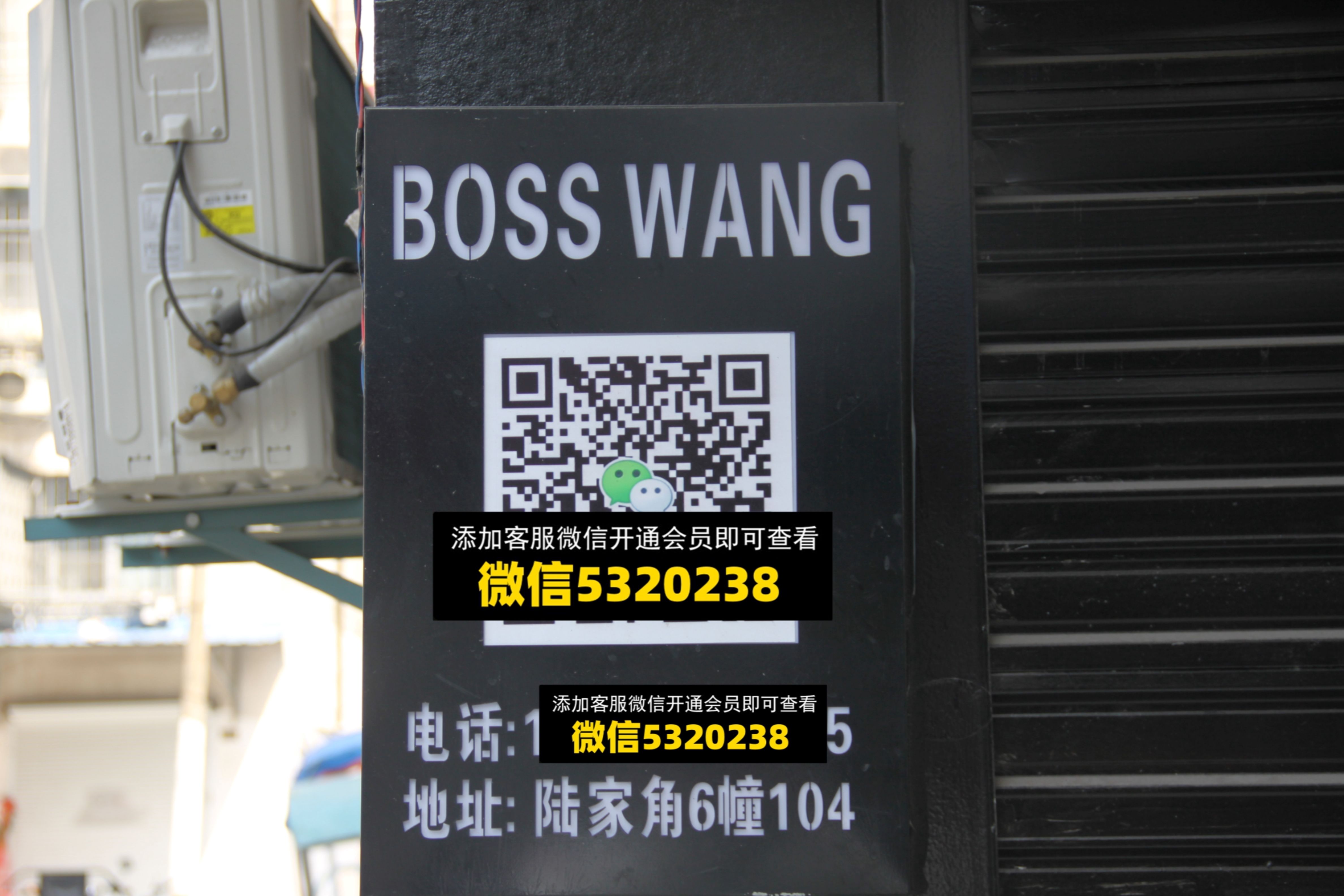社会王 社会王