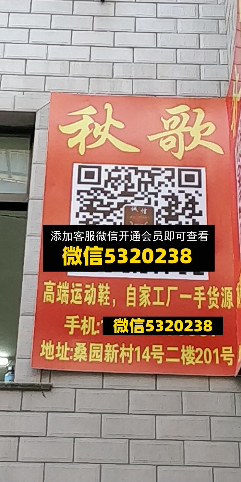秋哥 秋哥