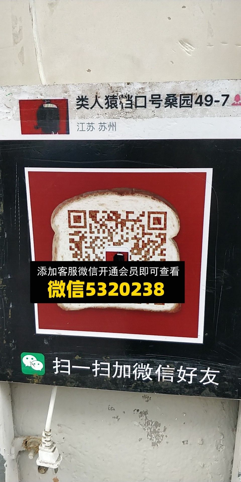 类人猿 类人猿