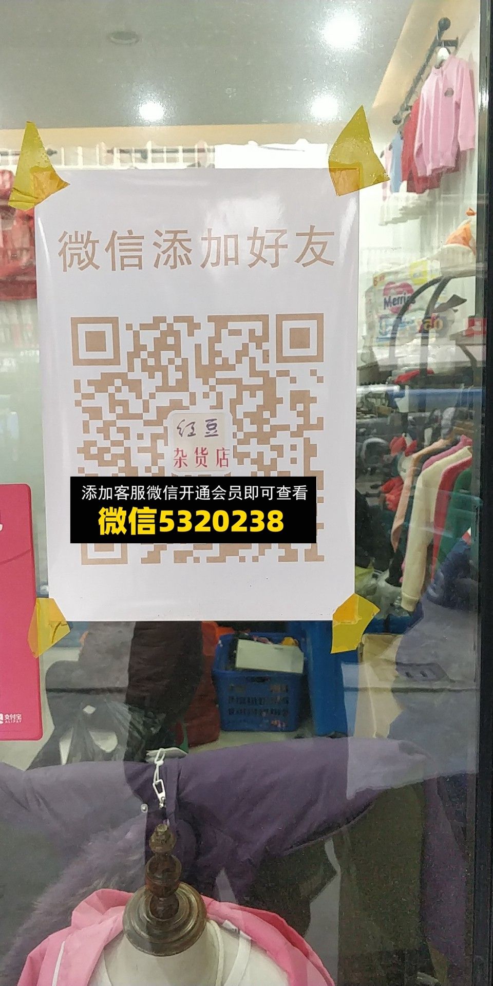 红豆 红豆
