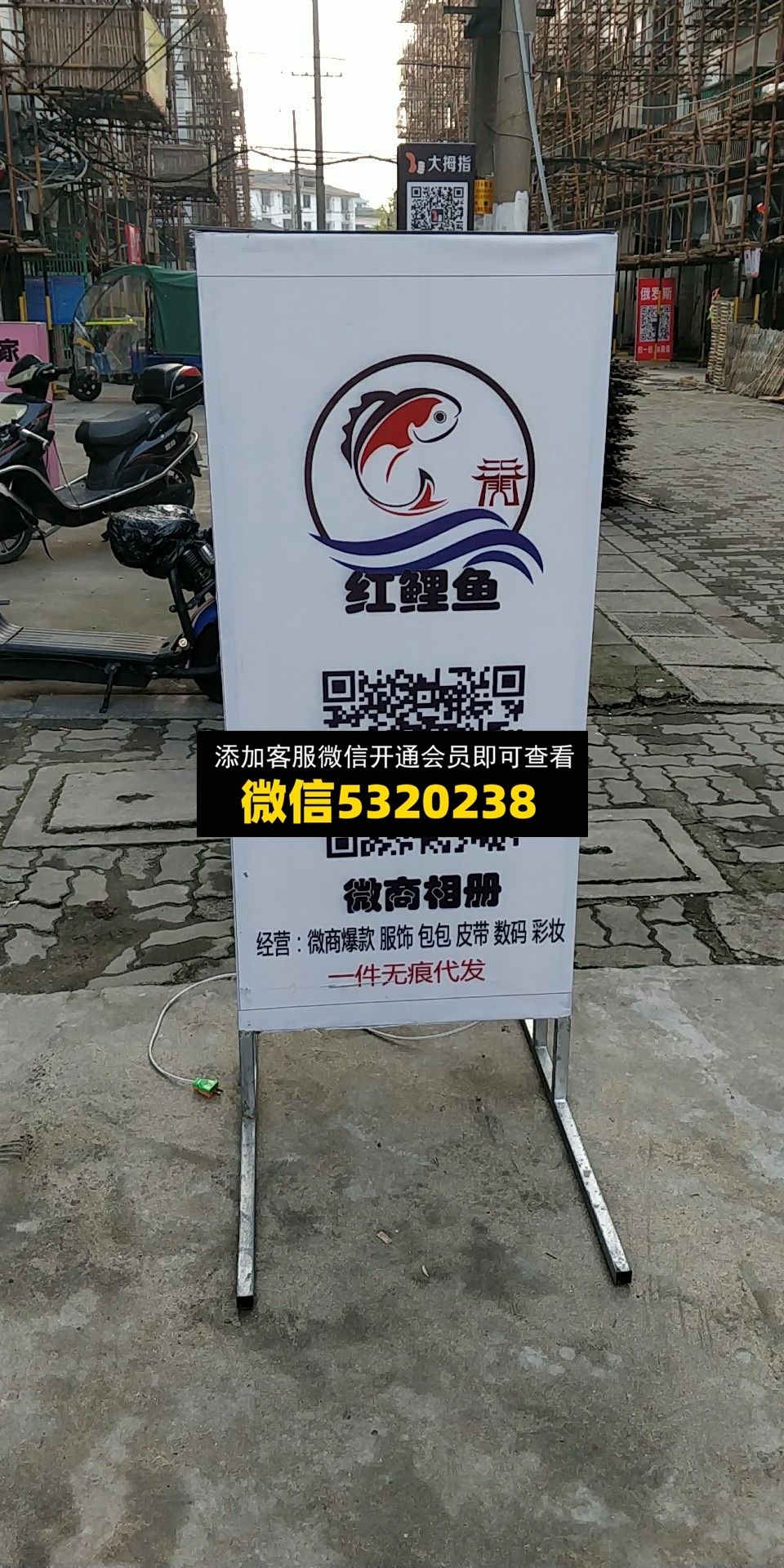 红鲤鱼 红鲤鱼