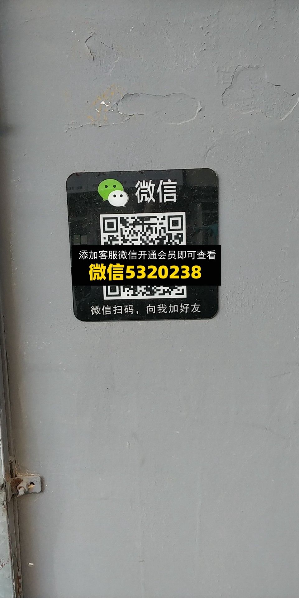 绅品 绅品