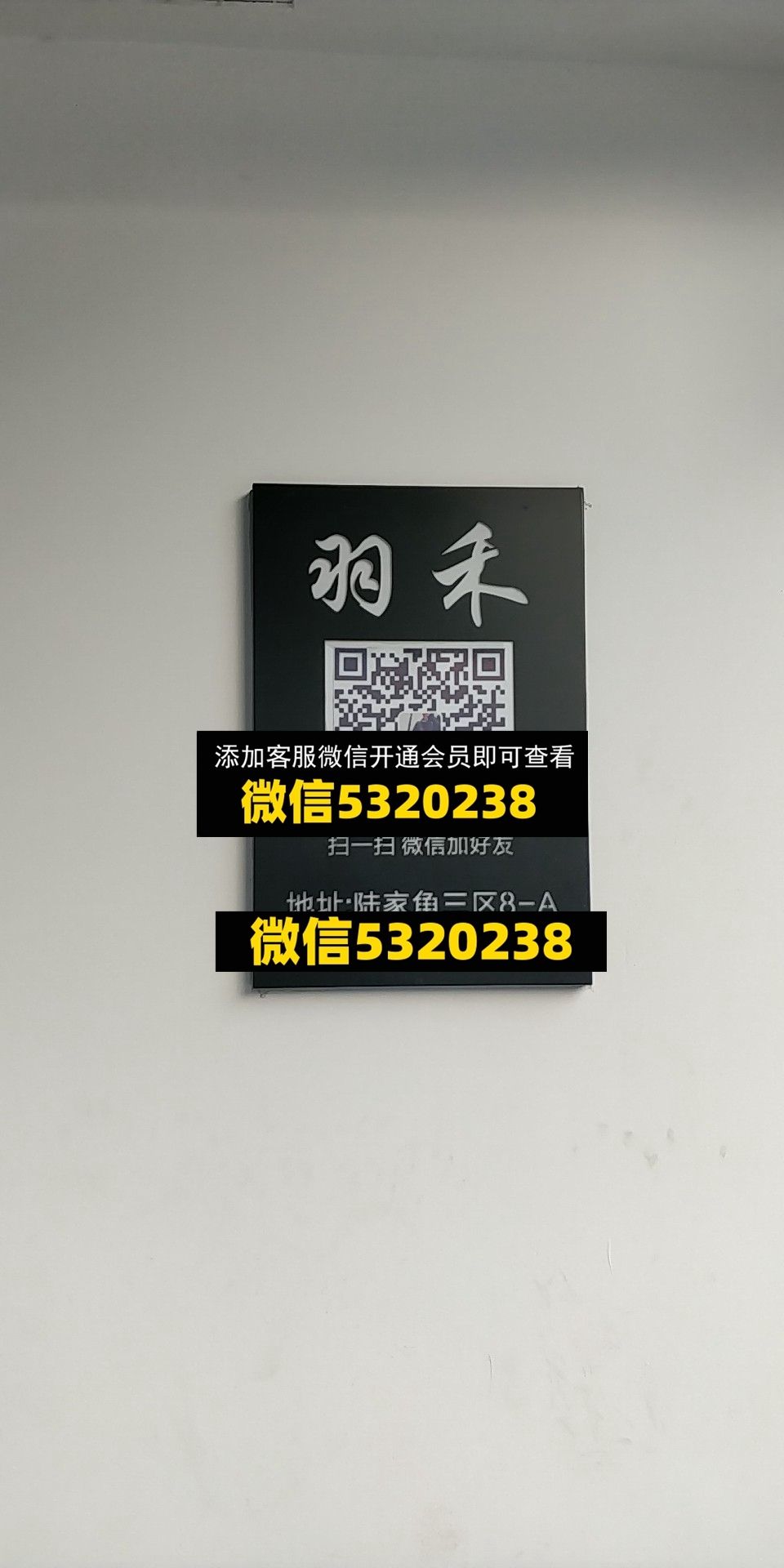 羽禾 羽禾