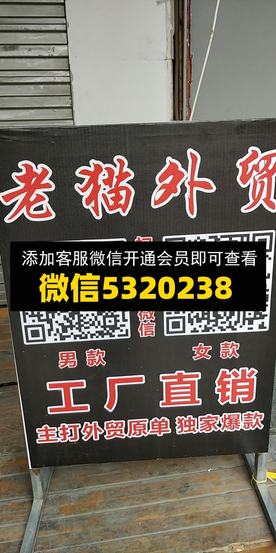 老猫 老猫