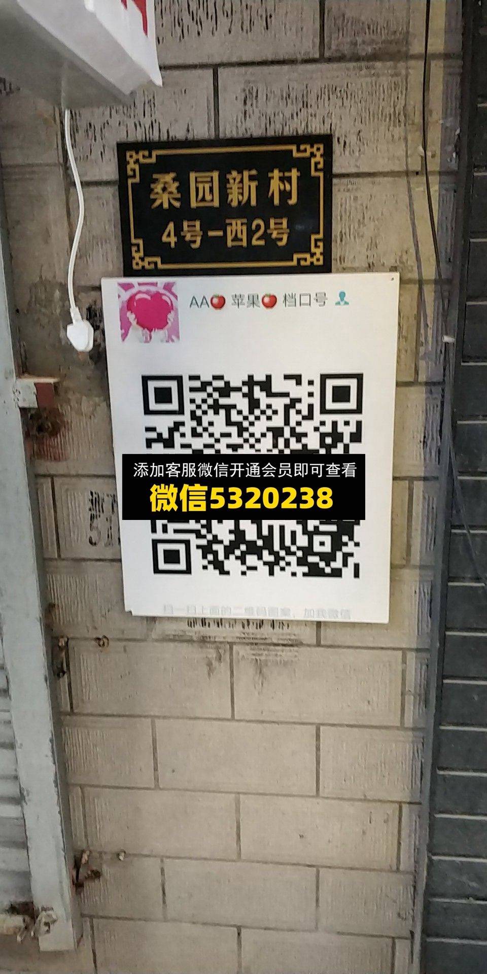 苹果 苹果