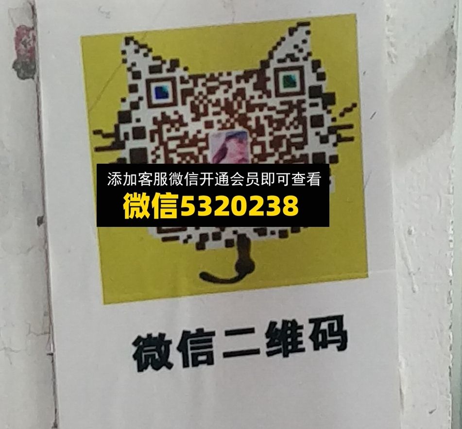 莎莎 范南 莎莎 范南