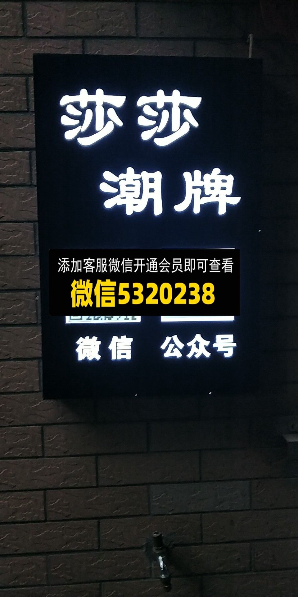 莎莎 莎莎