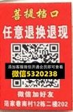 菩提 菩提