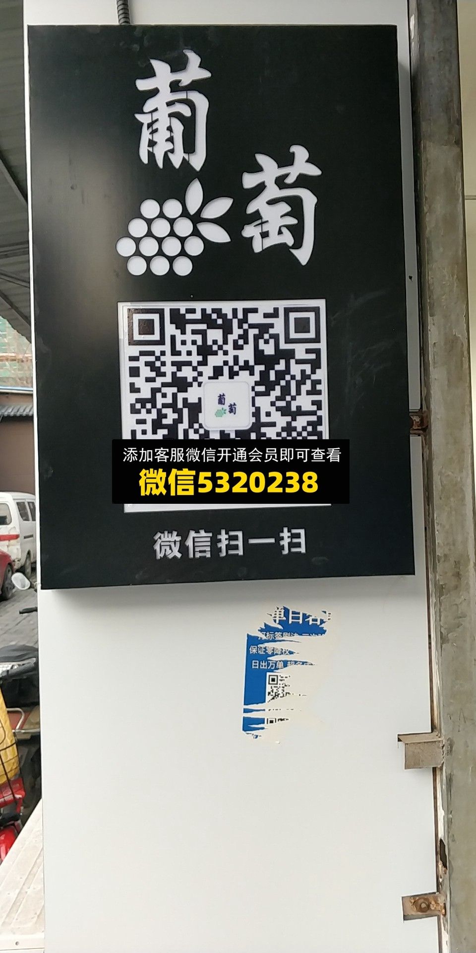 葡萄 葡萄
