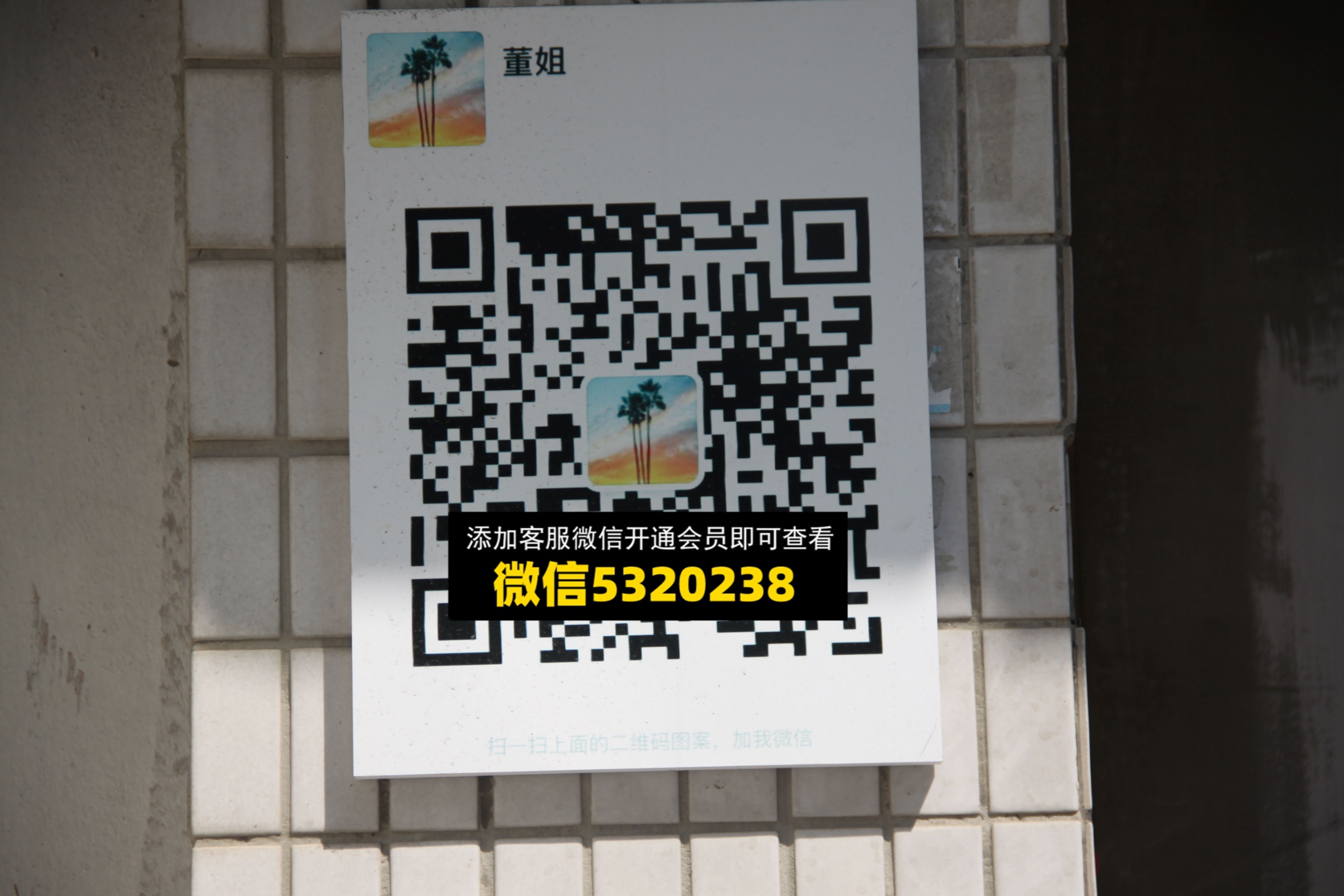 董姐 董姐