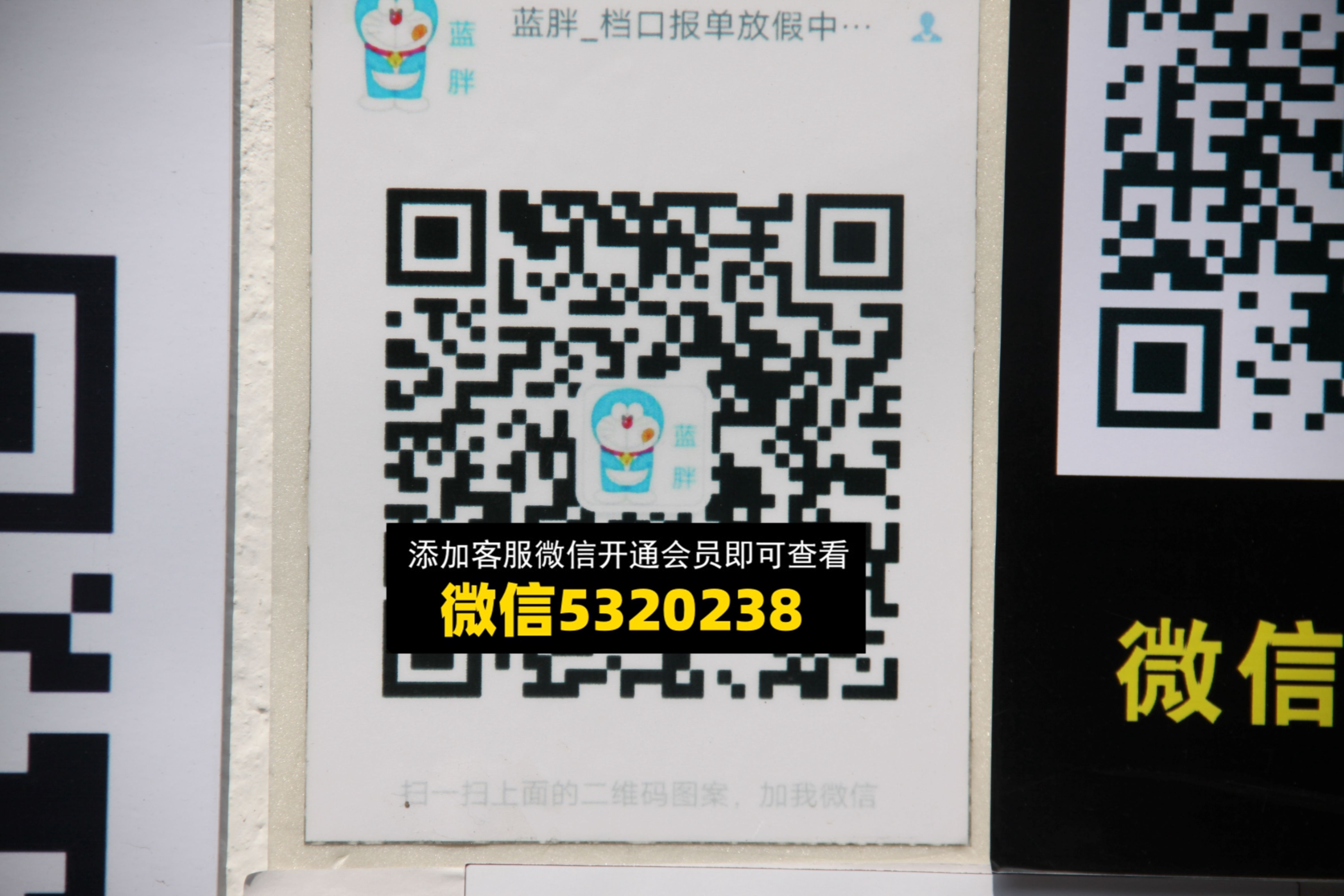 蓝胖 蓝胖