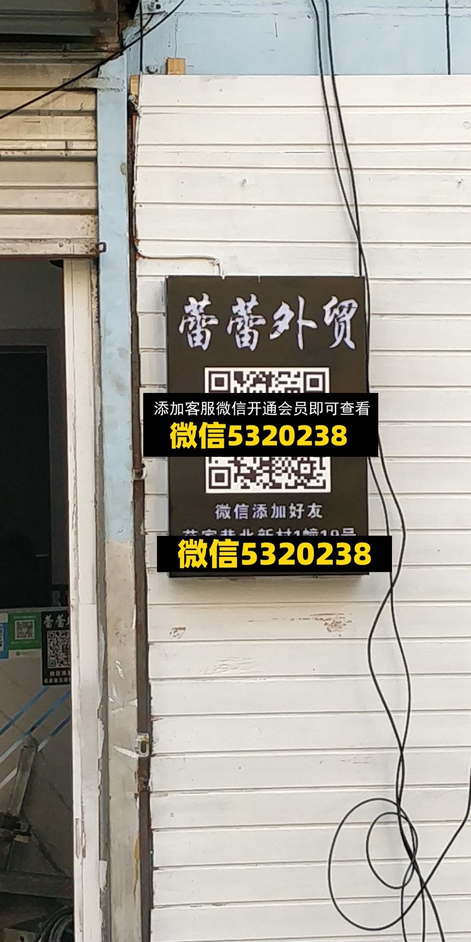 蕾蕾 蕾蕾