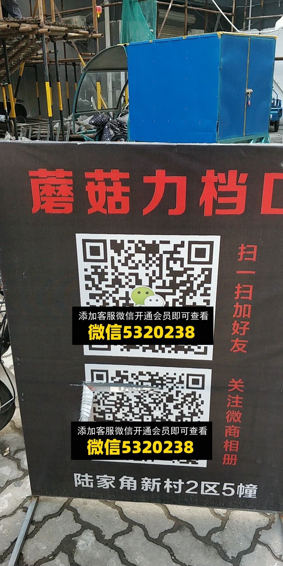 蘑菇力