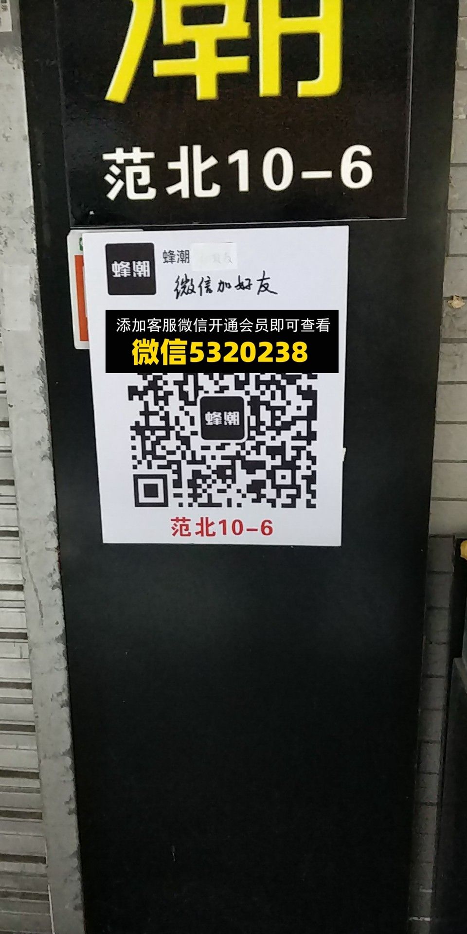 蜂潮 蜂潮