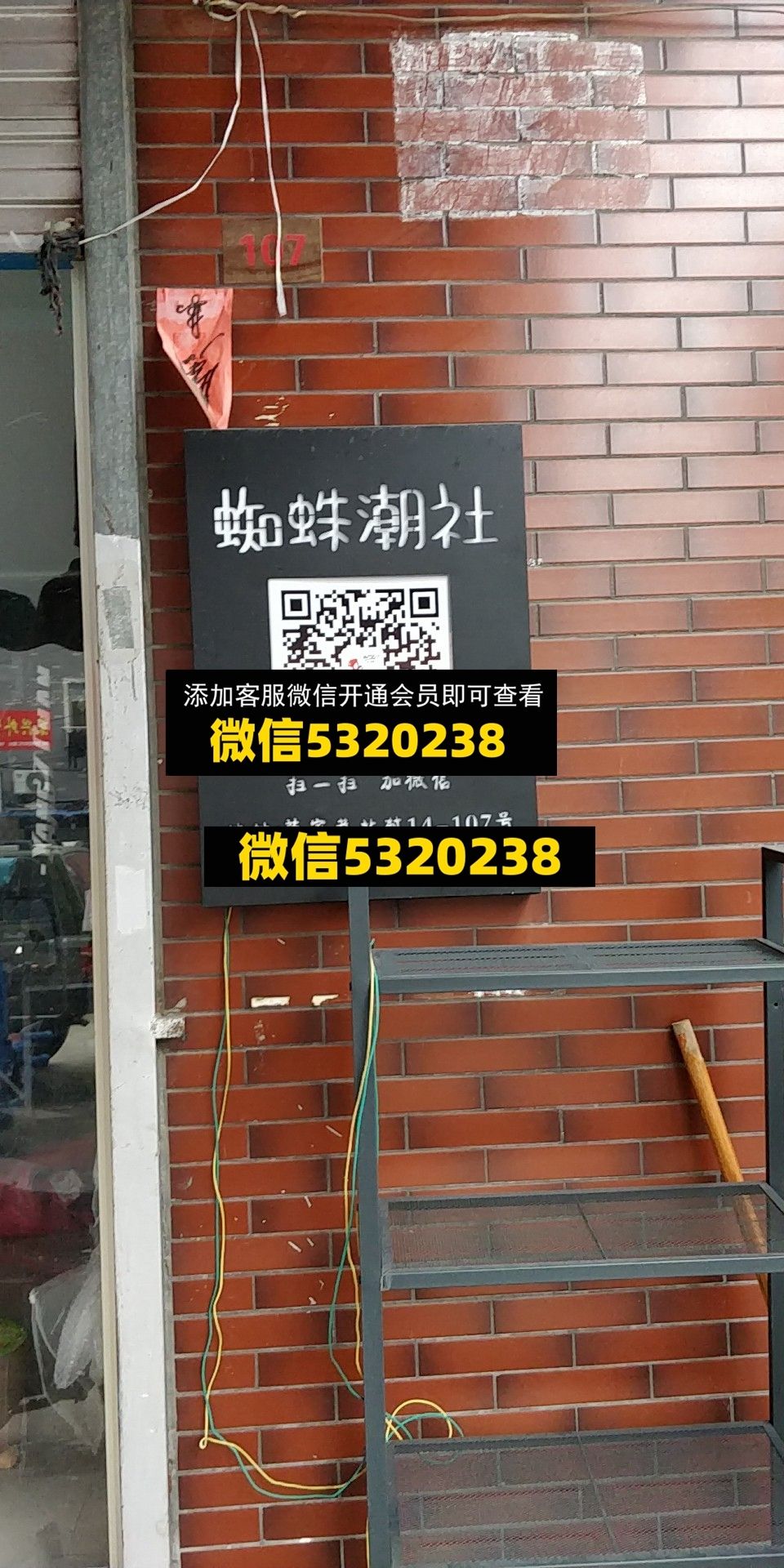 蜘蛛 蜘蛛
