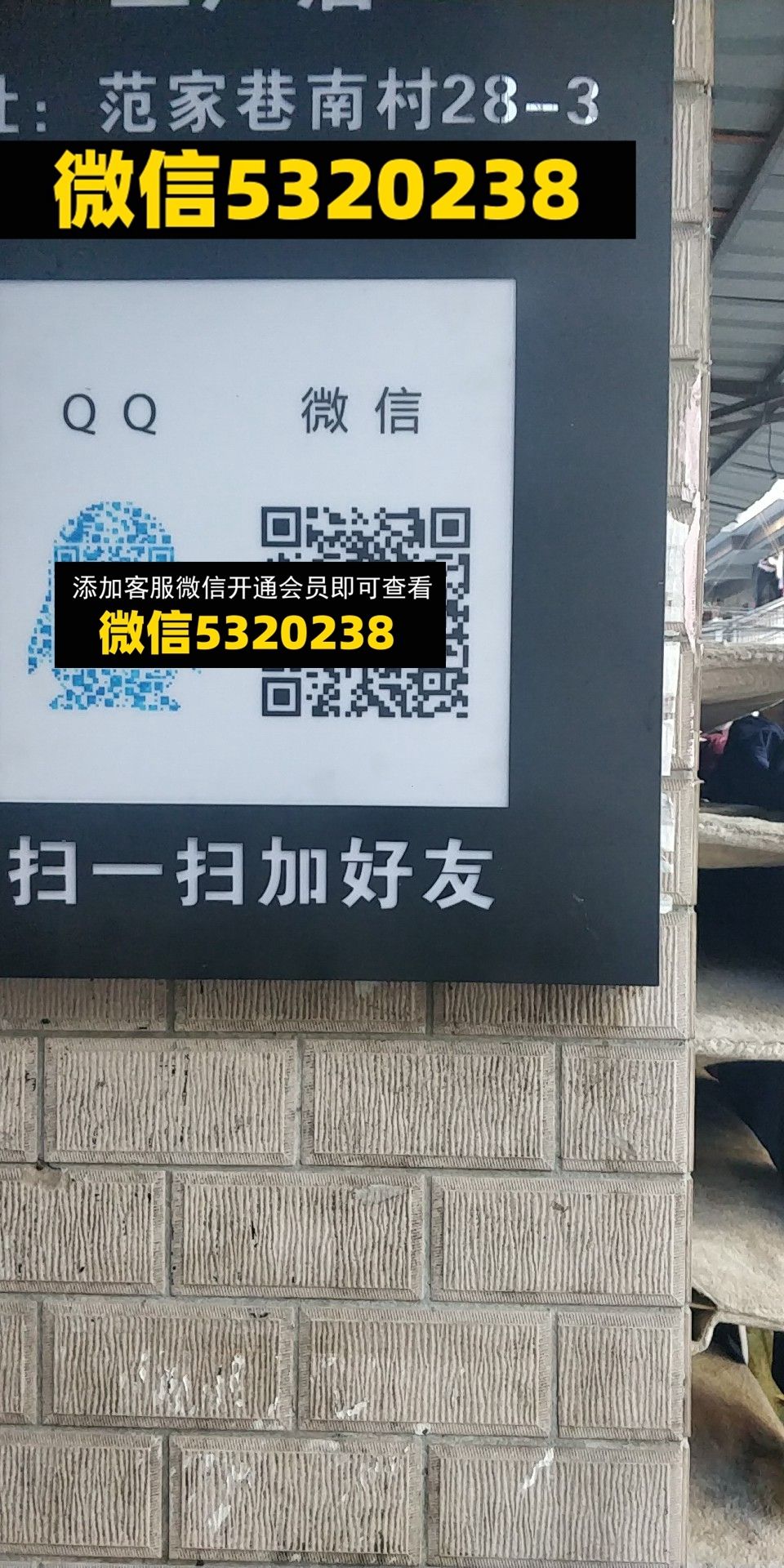 衣诺千金 衣诺千金