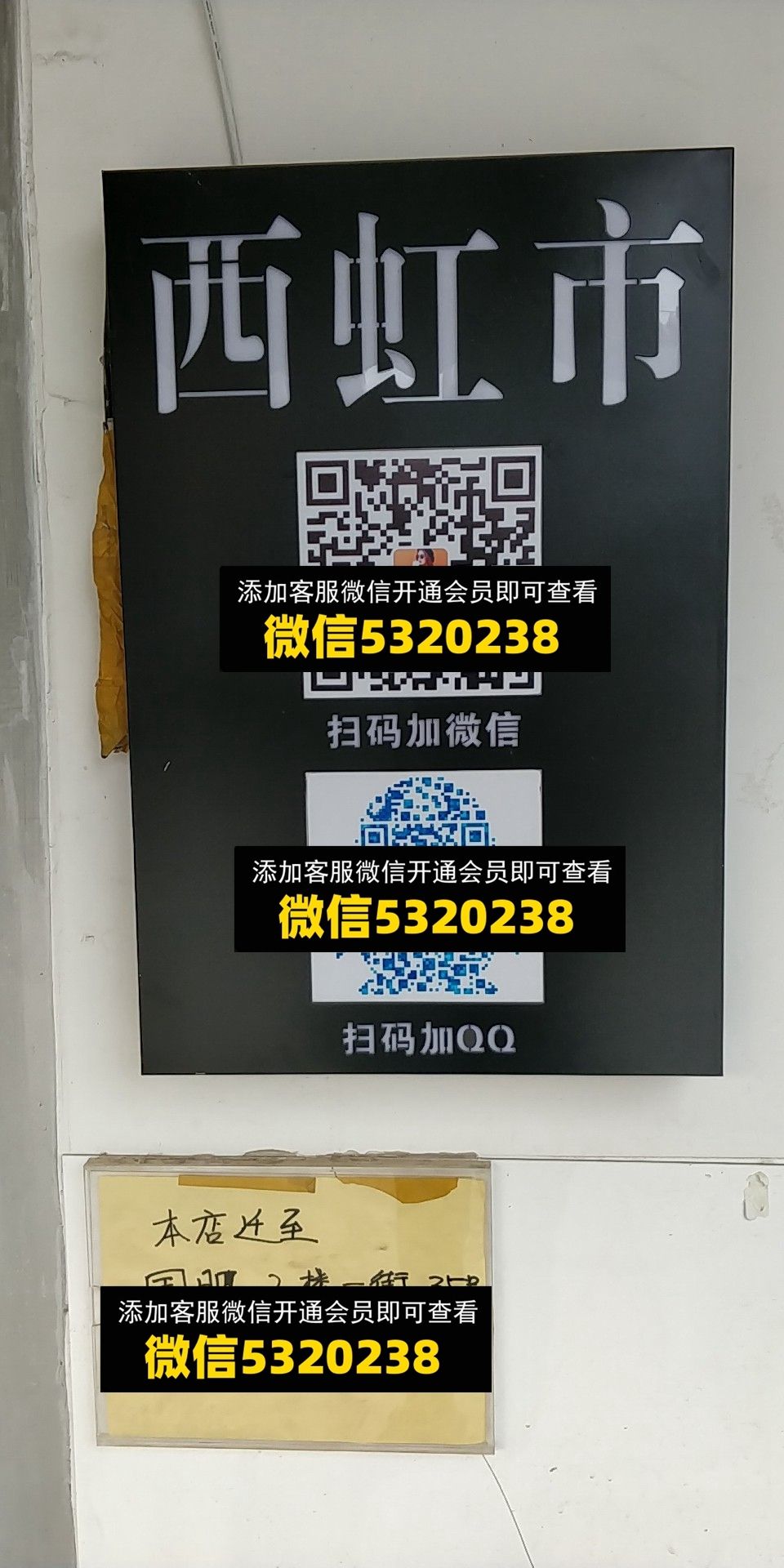 西红柿 西红柿