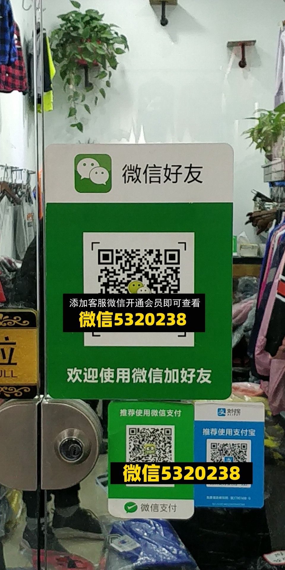 豆豆 豆豆