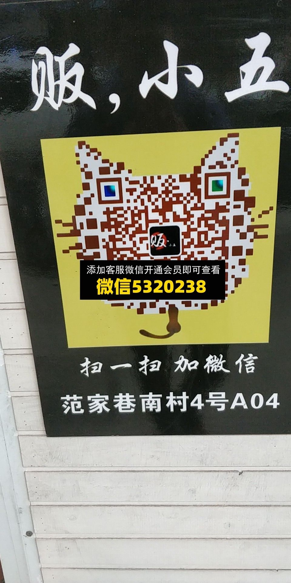贩小五 贩小五