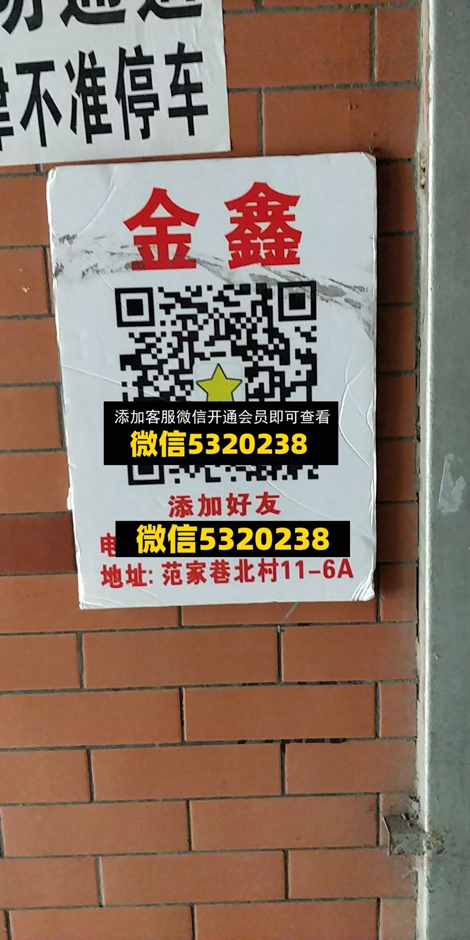 金鑫 金鑫