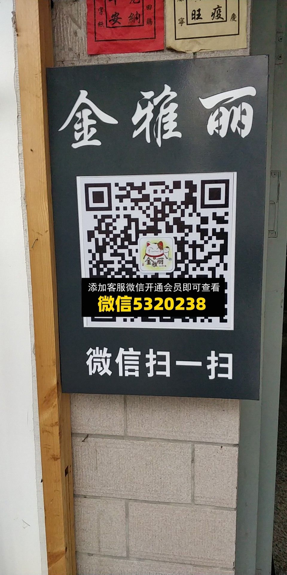 金雅丽 金雅丽
