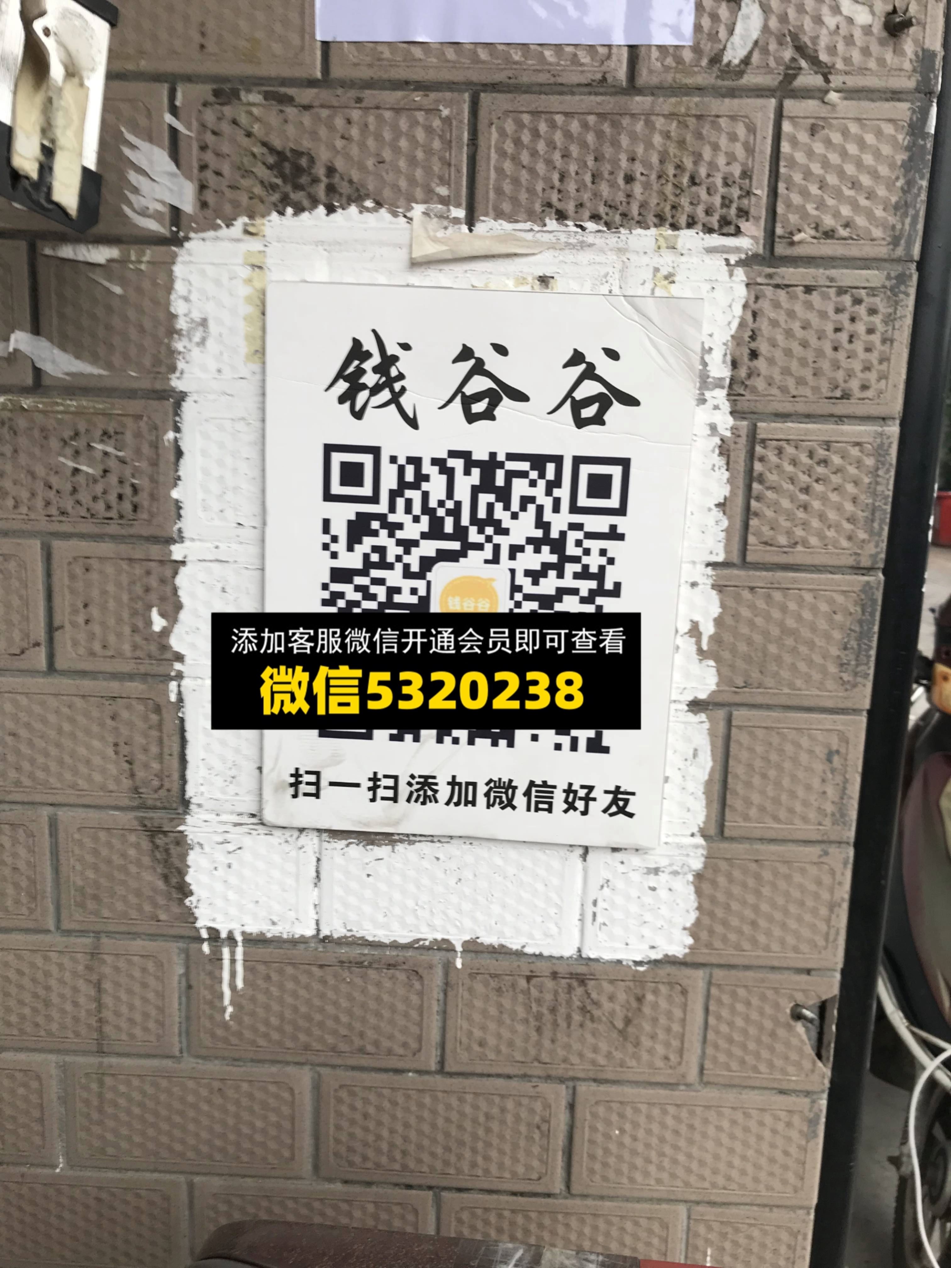 钱谷谷 钱谷谷
