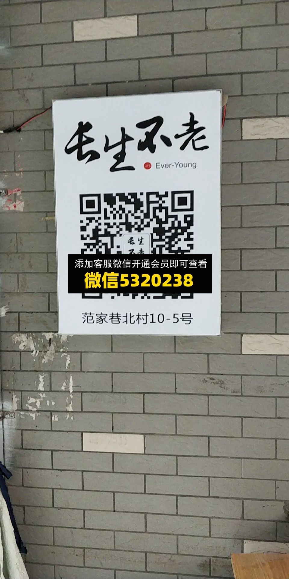 长生不老 长生不老