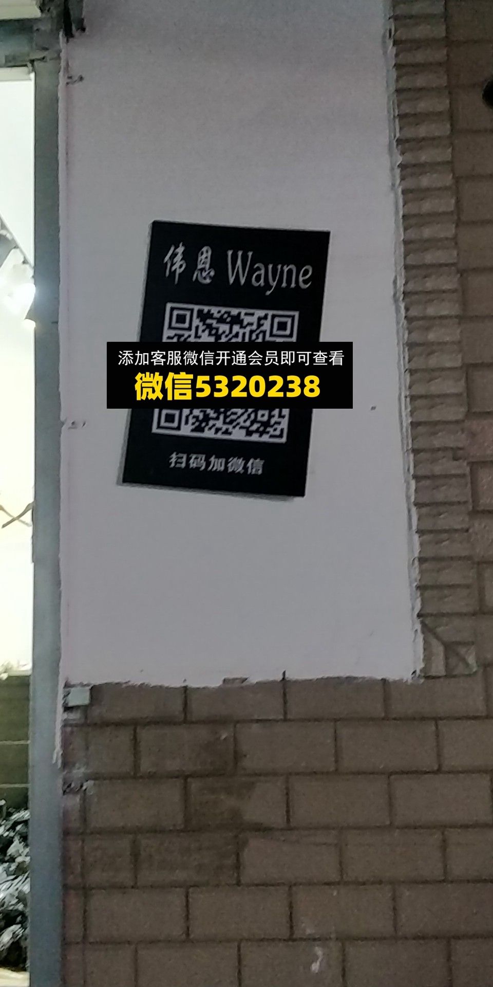 韦恩 韦恩