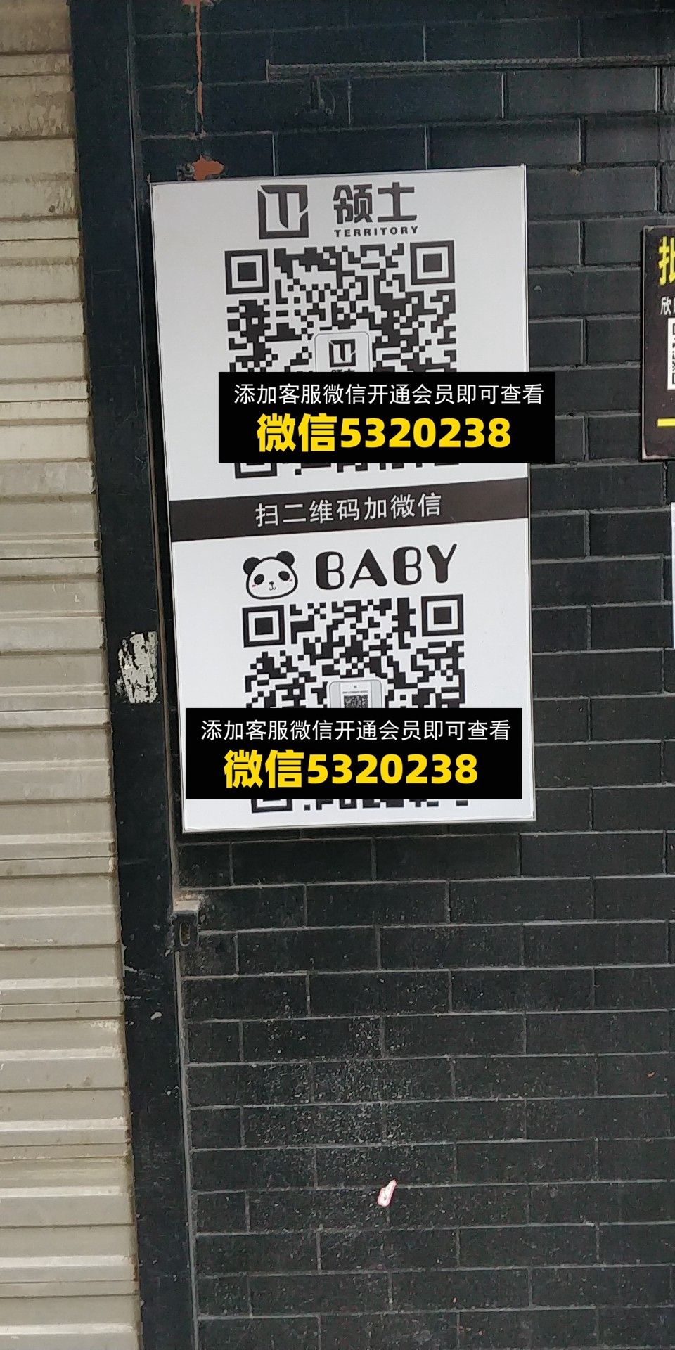 领土 baby 领土 baby