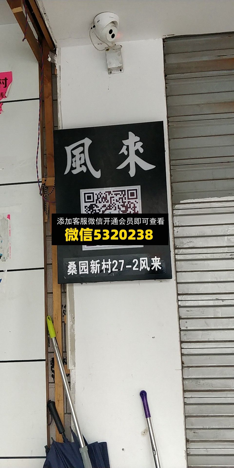 风来 风来