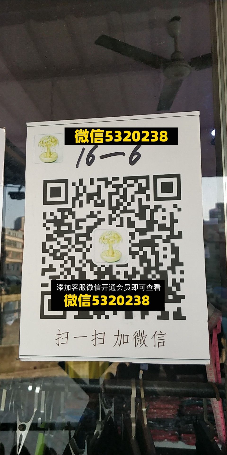 马红霞 马红霞