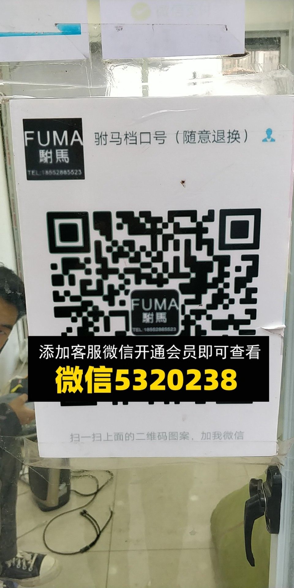 驸马 驸马