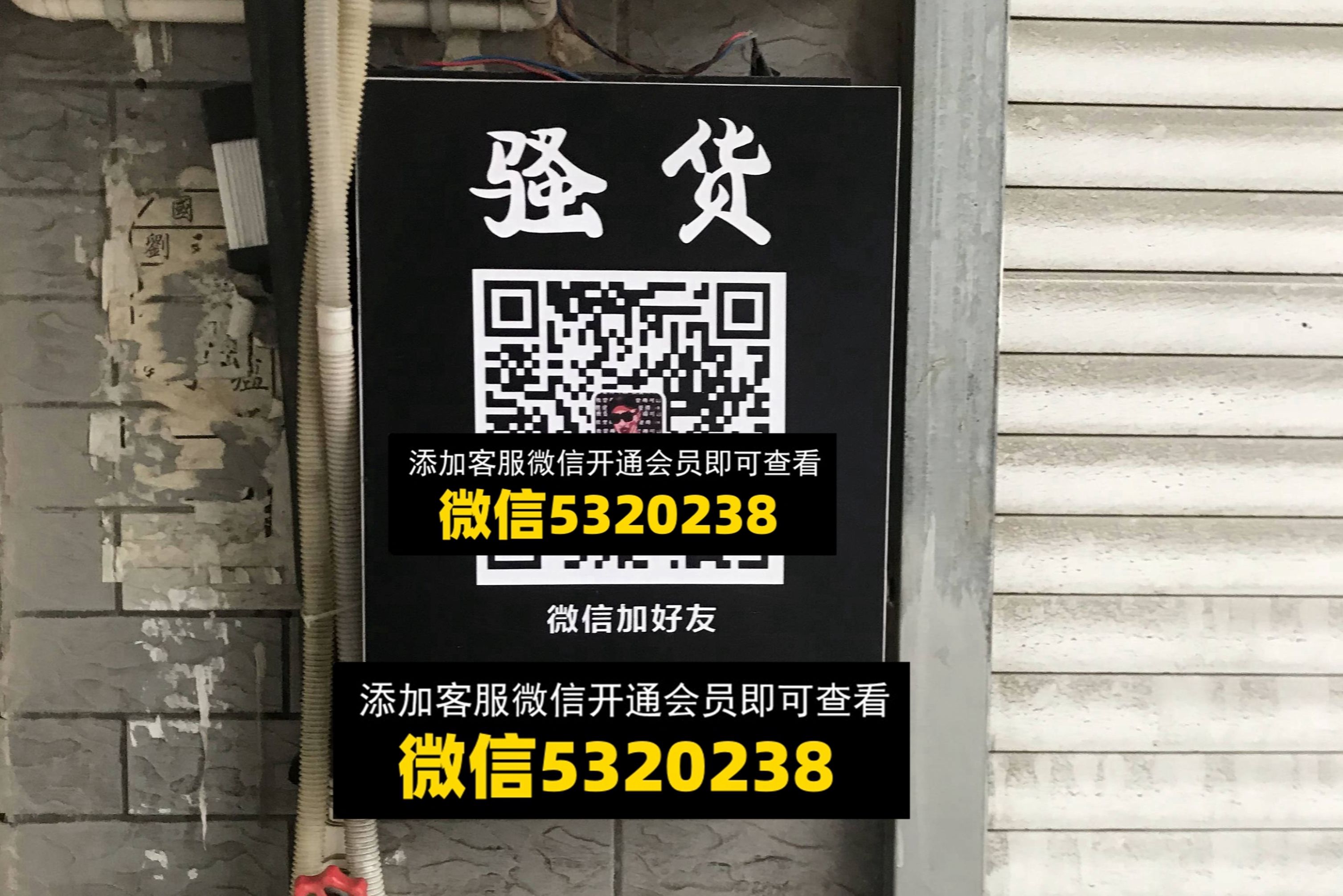 骚货 骚货