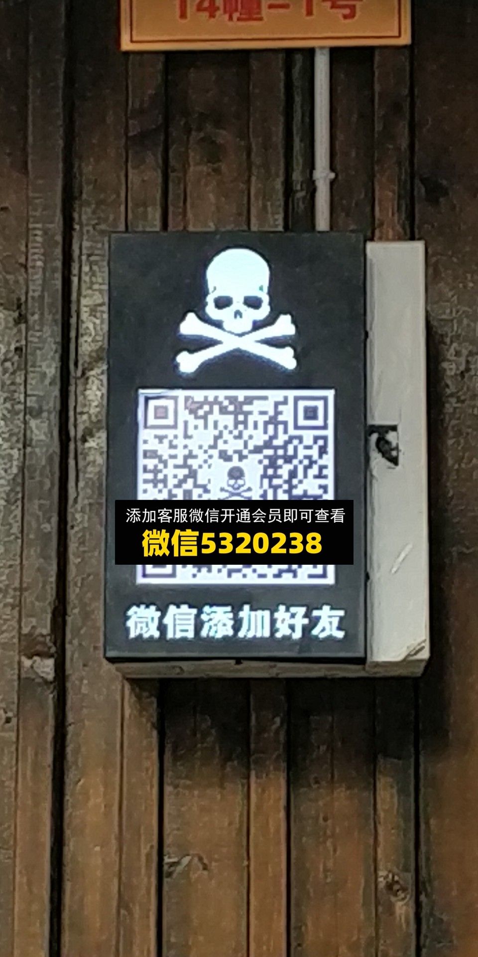 骷髅头 骷髅头