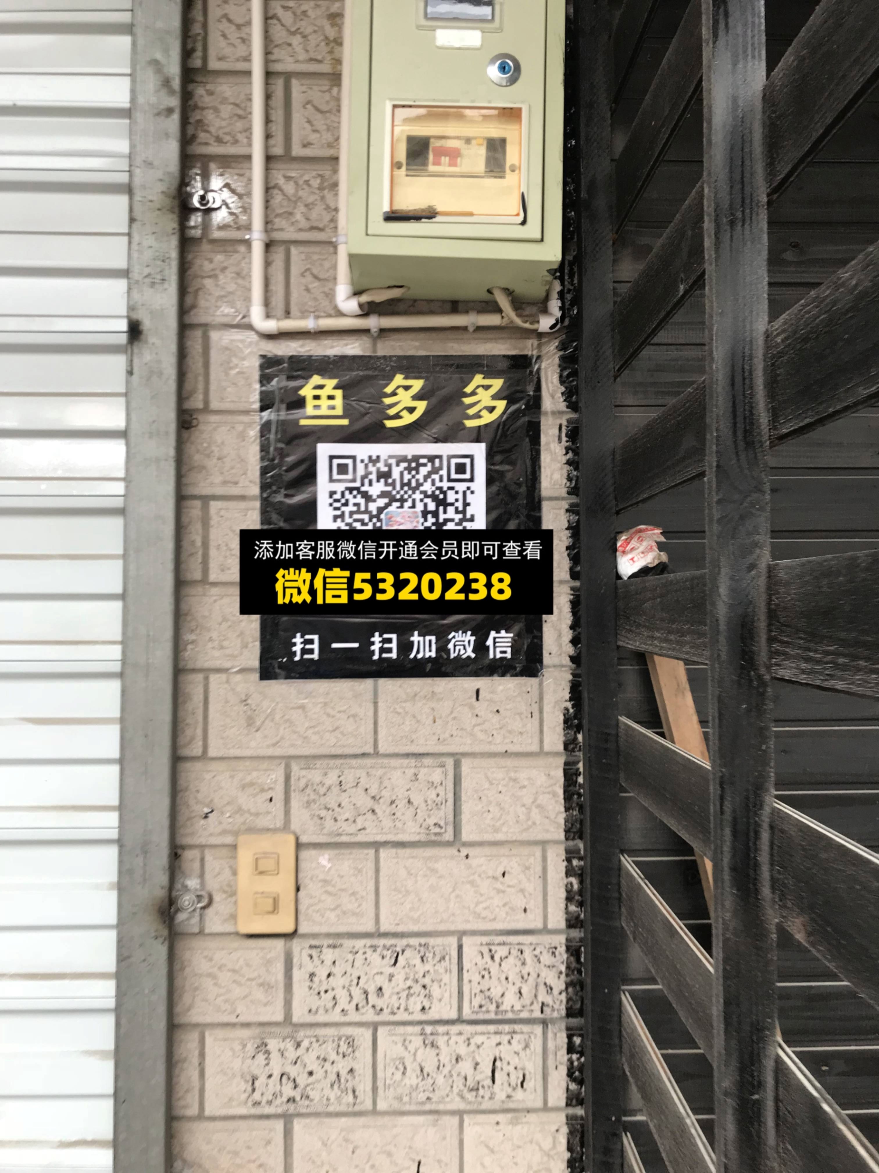 鱼多多