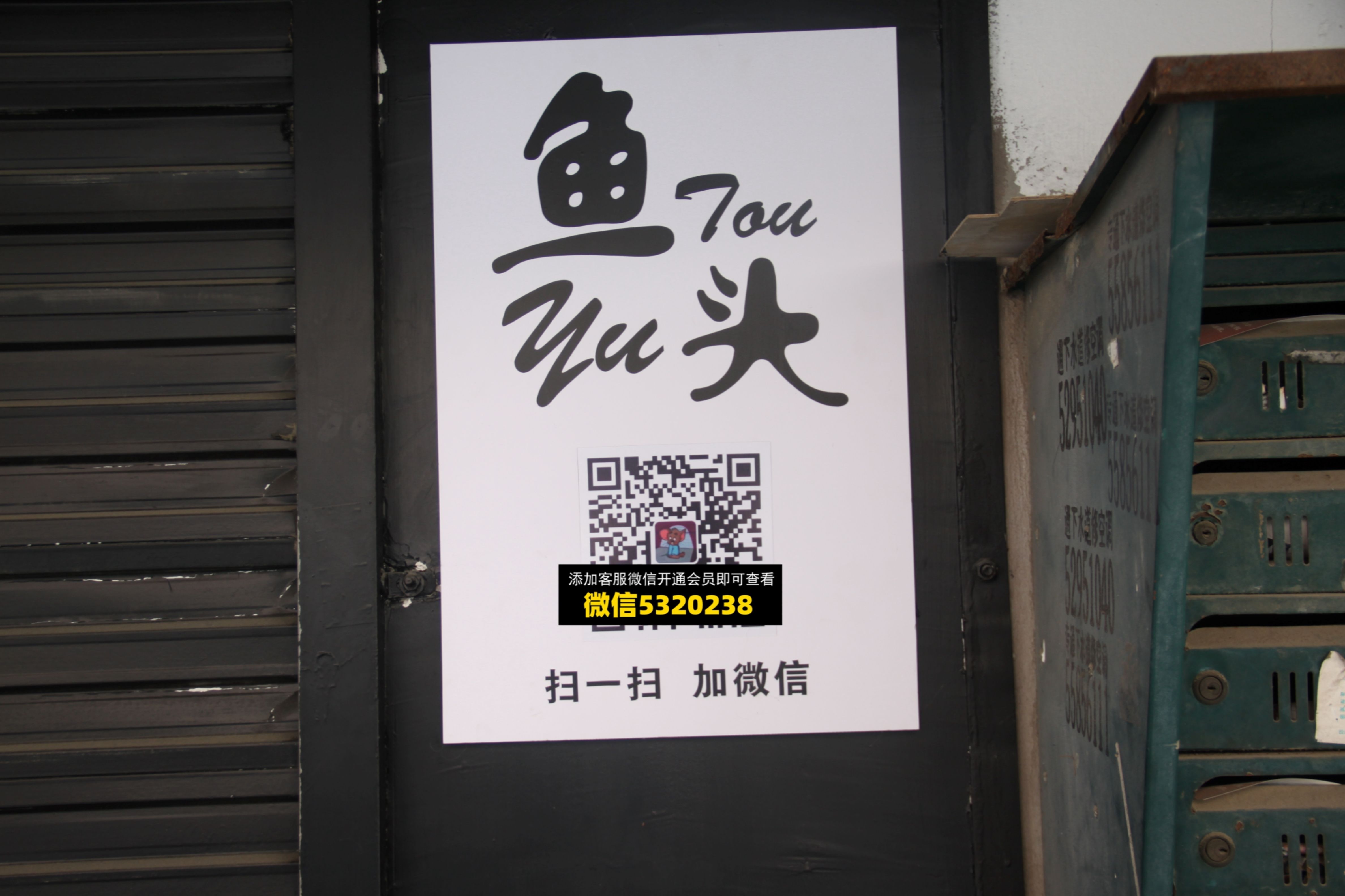 鱼头 鱼头