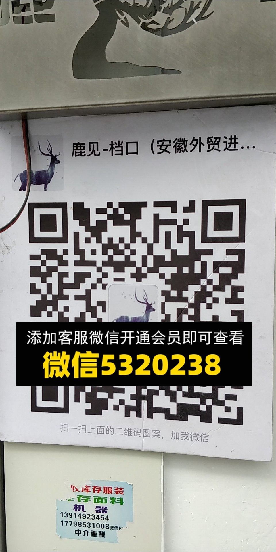 鹿见 鹿见