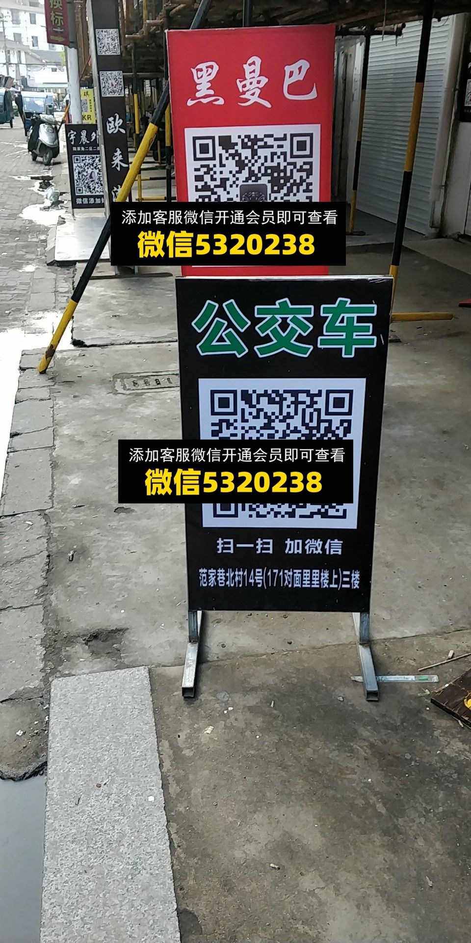 黑曼巴 公交车 黑曼巴 公交车