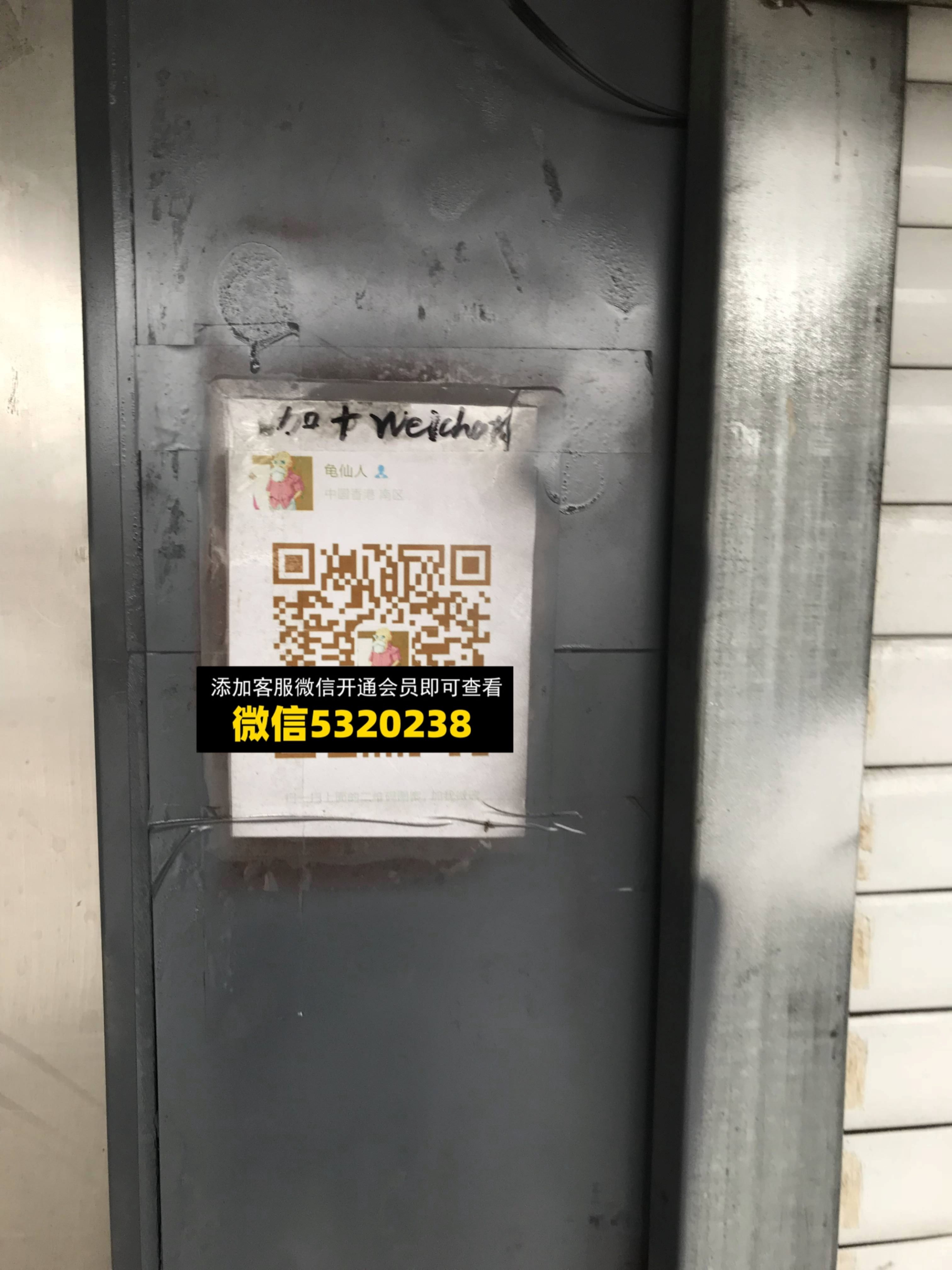 龟仙人 龟仙人