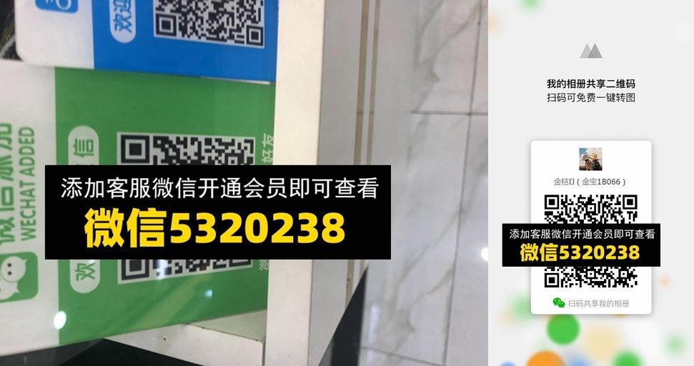 金桔 金桔