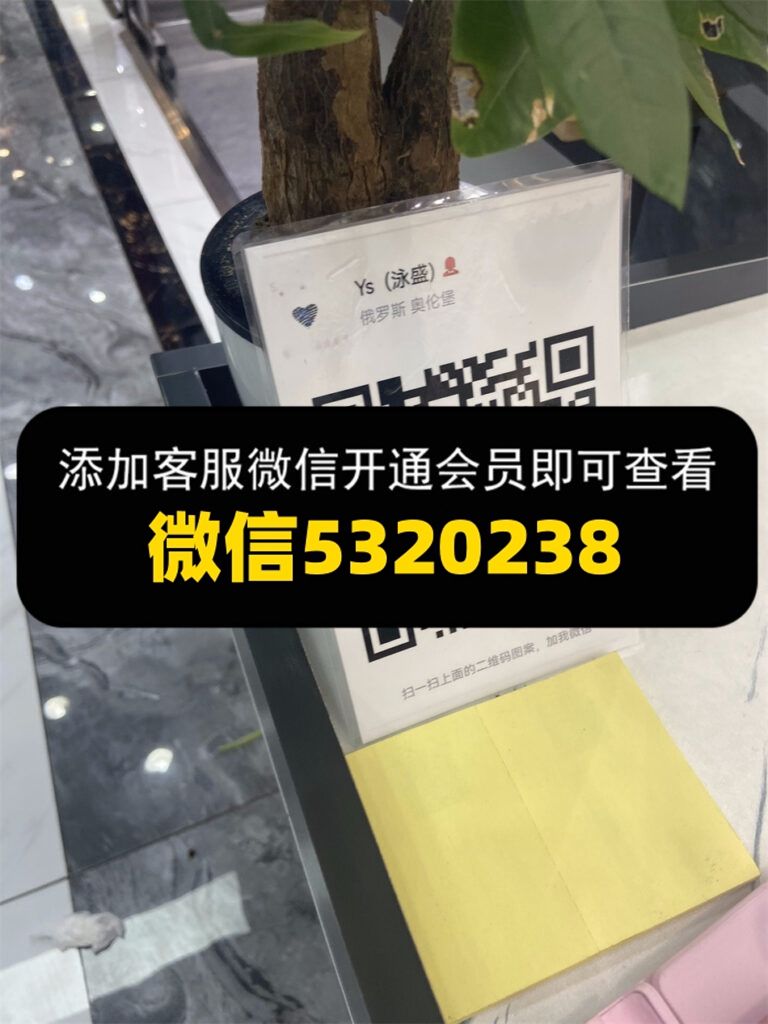 Ys 泳盛 Ys 泳盛
