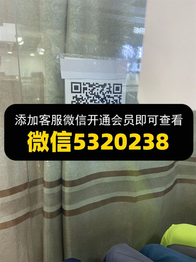少东家 少东家