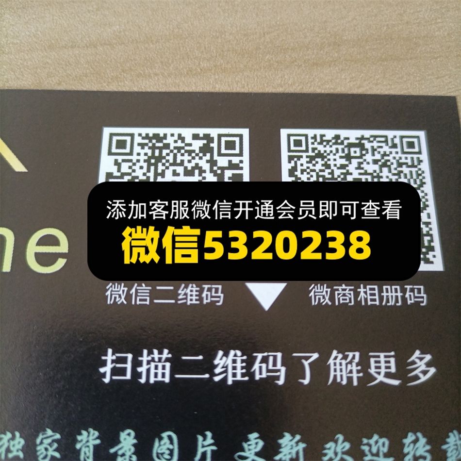 广州皮具0235